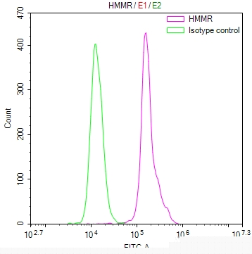 HMMR Antibody