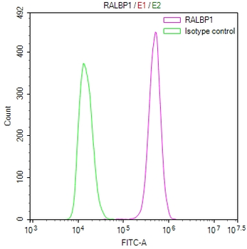 RALBP1 Antibody