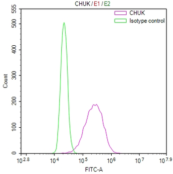 IKBKB/CHUK Antibody