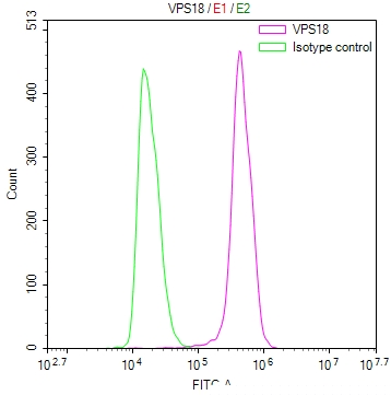 VPS18 Antibody