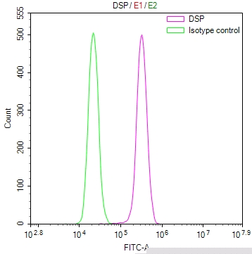 DSP Antibody
