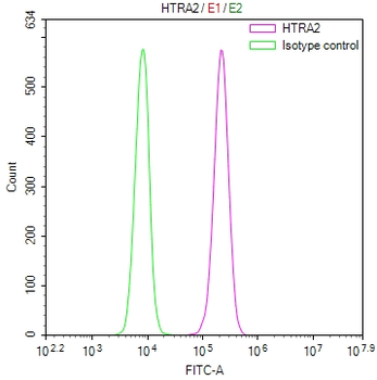 HTRA2 Antibody