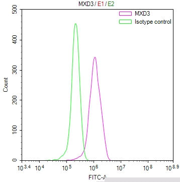 MXD3 Antibody