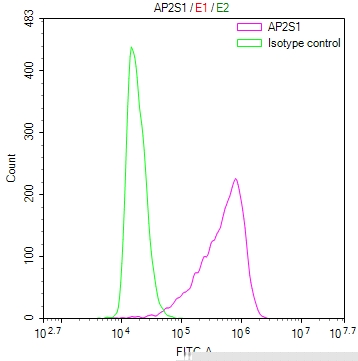 AP2S1 Antibody