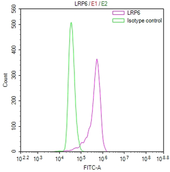 LRP6 Antibody