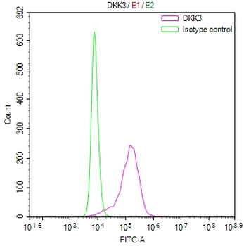 DKK3 Antibody