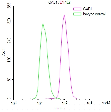 GAB1 Antibody