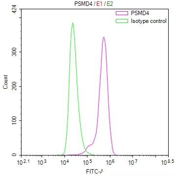 PSMD4 Antibody