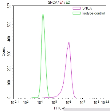 SNCB/SNCA Antibody