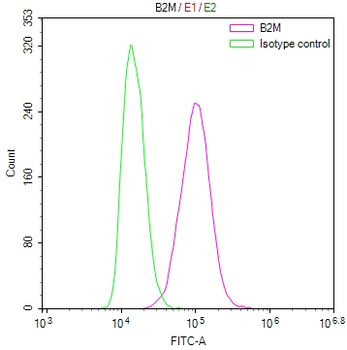 B2M Antibody