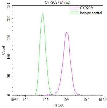 CYP2C9 Antibody