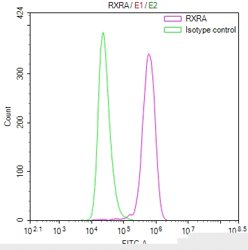 RXRA Antibody