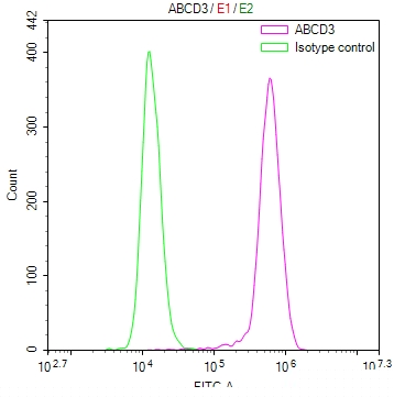 ABCD3 Antibody