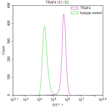 TRAF4 Antibody