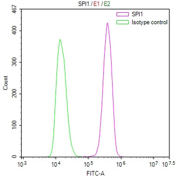 SPI1 Antibody