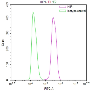 HIP1 Antibody