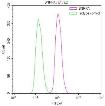 SNRPA Antibody