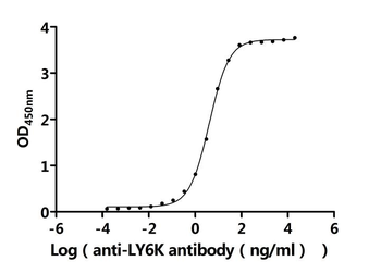 LY6K Antibody