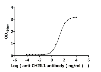 CHI3L1 Antibody