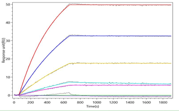 ASGR1 Antibody