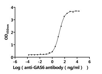 GAS6 Antibody