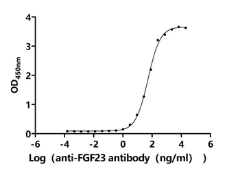 FGF23 Antibody