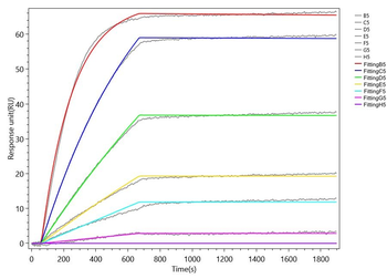 FGF23 Antibody