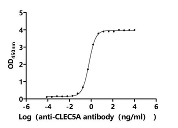 CLEC5A Antibody