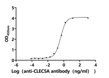 CLEC5A Antibody