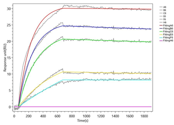 CLEC5A Antibody