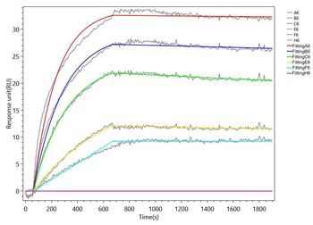 CLEC5A Antibody
