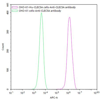 CLEC5A Antibody