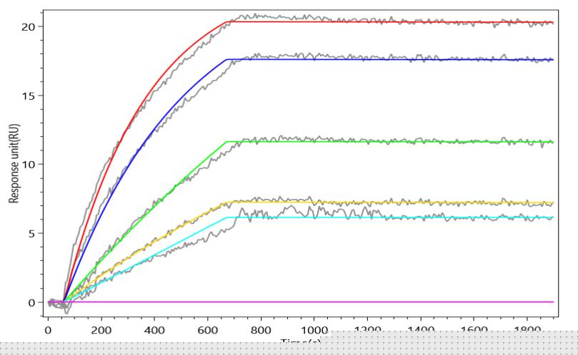 LGALS9 Antibody