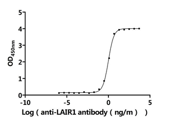 LAIR1 Antibody
