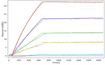 Il1rl2 Antibody