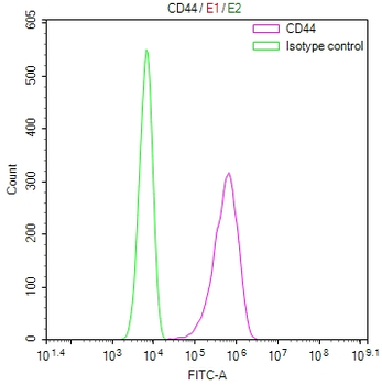 CD44 Antibody