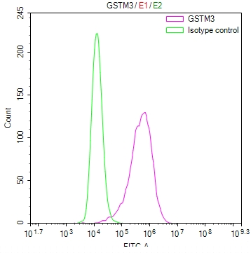 GSTM3 Antibody