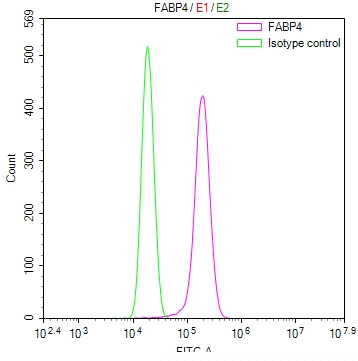 FABP4 Antibody