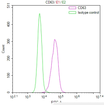 CD63 Antibody