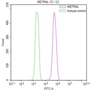 METRNL Antibody