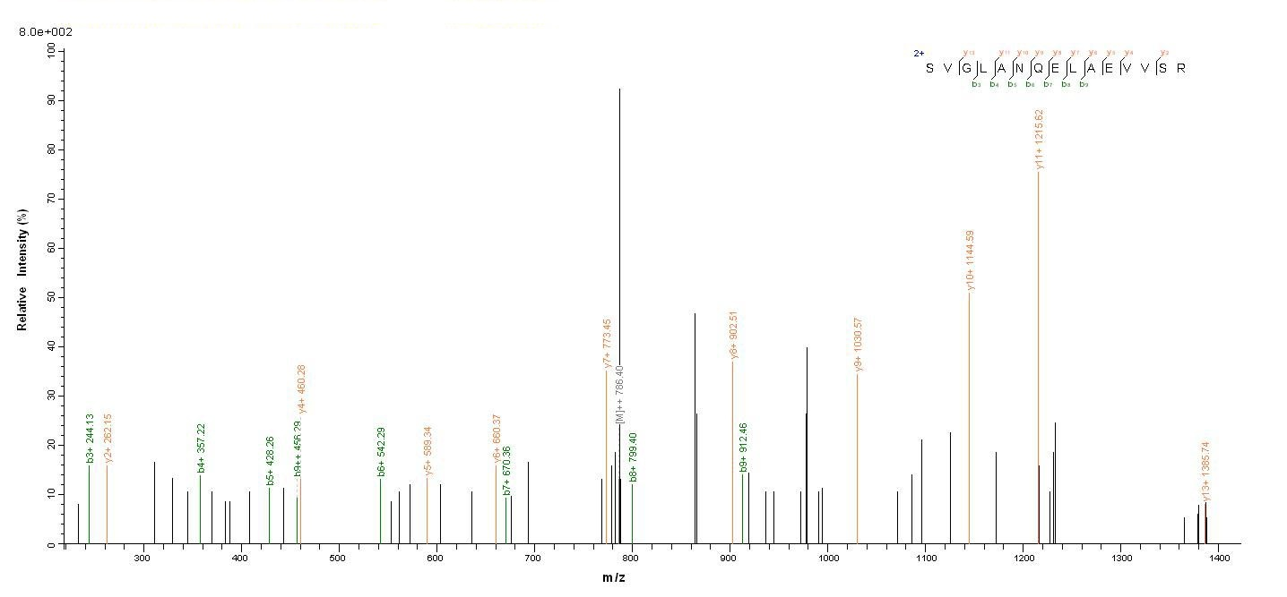 Mouse Arg2 protein