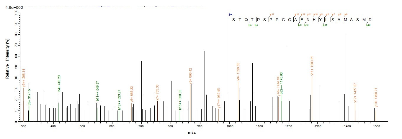 Human BCL2L11 protein