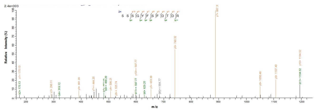 Human BCL2L11 protein