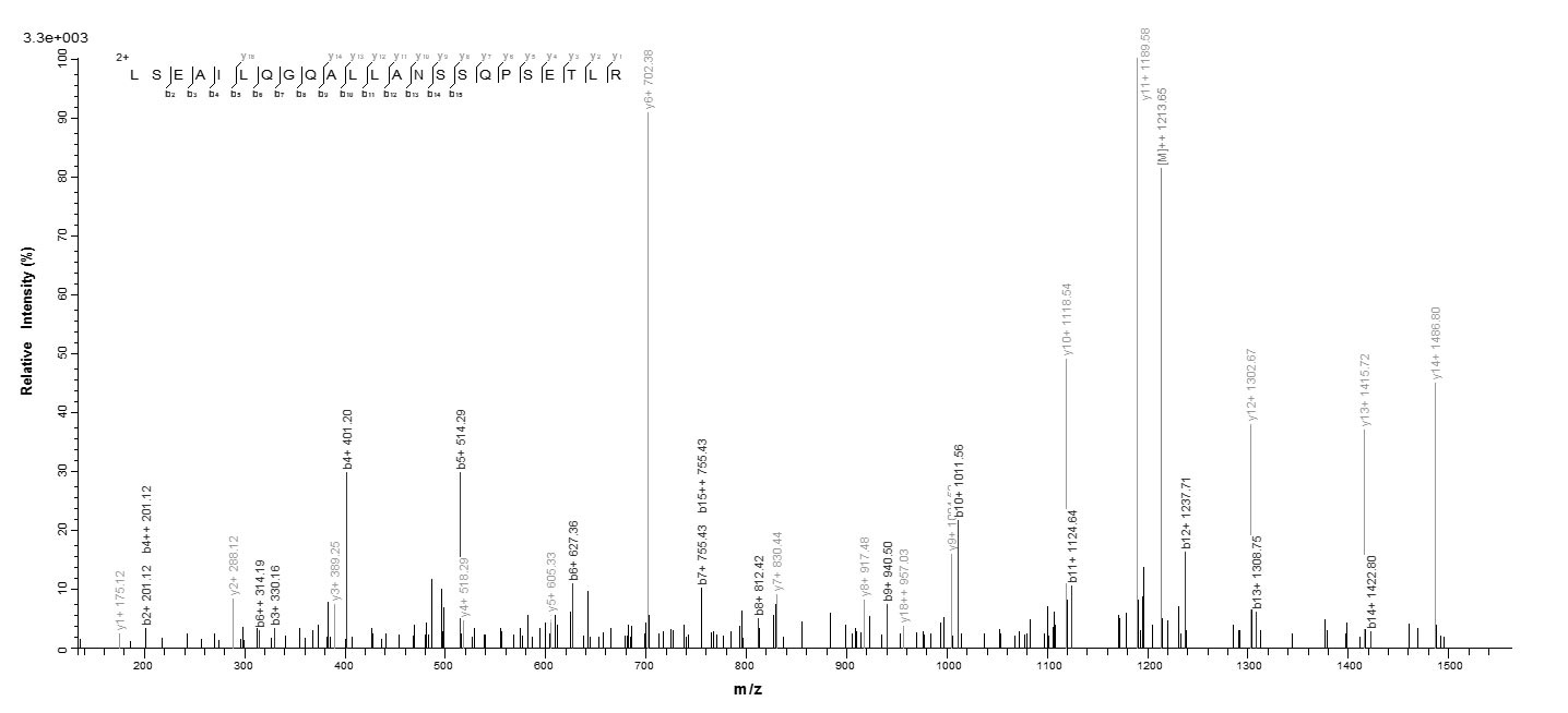 Horse EPO protein