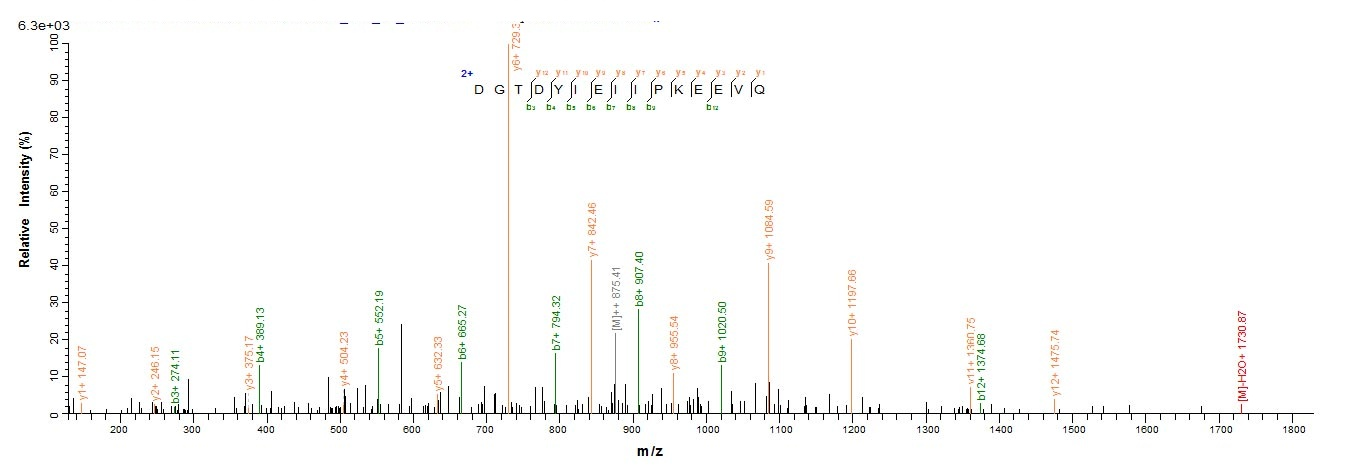 Human F5 protein