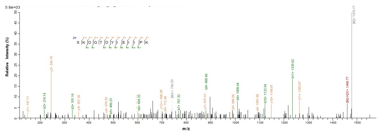 Human F5 protein