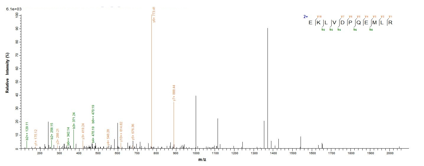Human FDXR protein