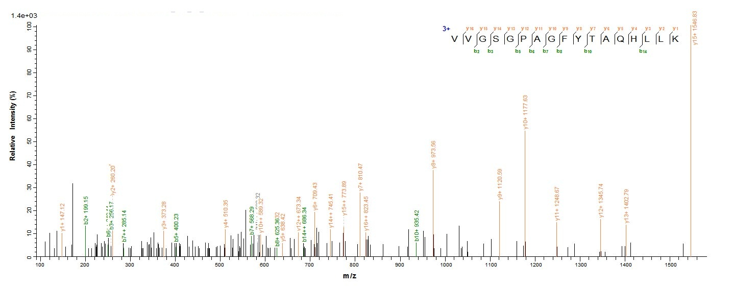 Human FDXR protein