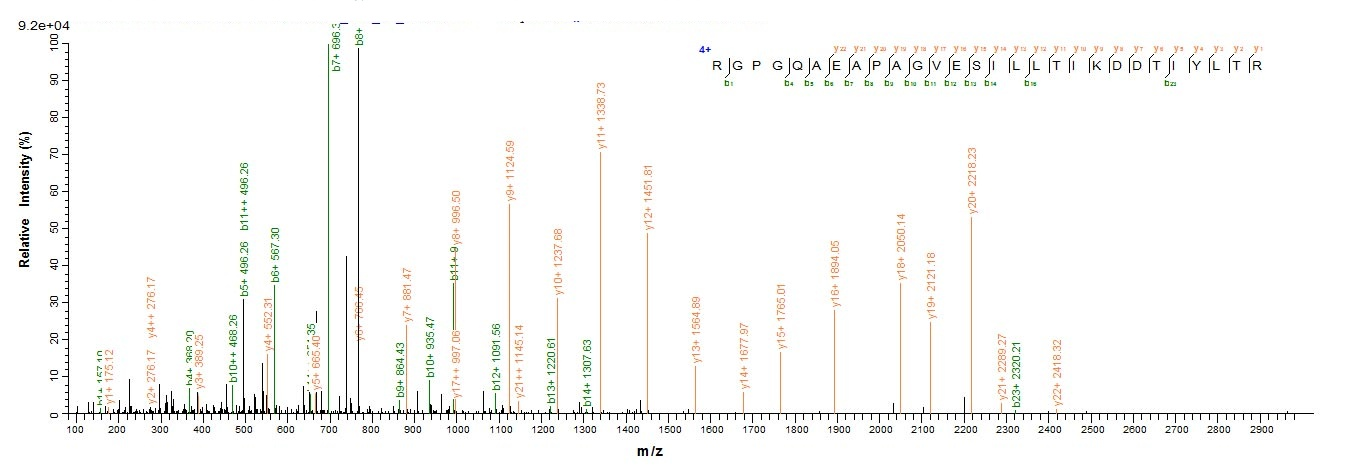 Human MUC2 protein