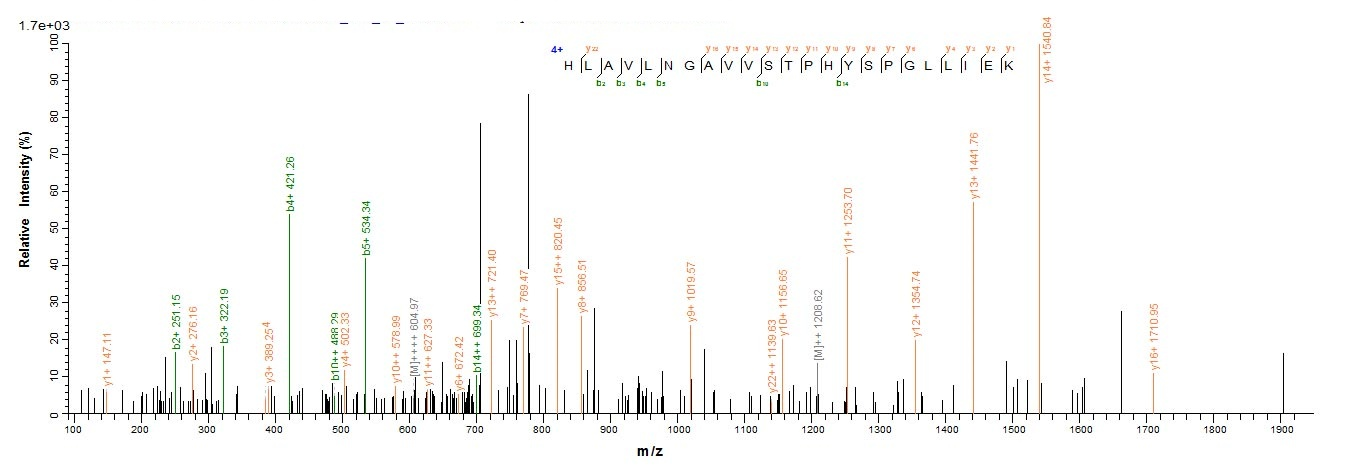 Human MUC2 protein
